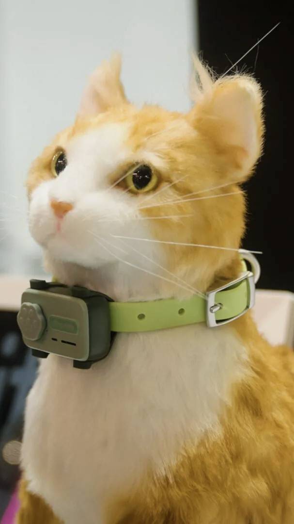 PetPhone — первый в мире смартфон для животных