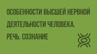 Особенности высшей нервной деятельности человека. Речь. Сознание. Видеоурок по биологии 8 класс