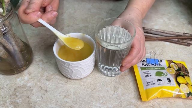 УНИКАЛЬНЫЙ СПОСОБ УКОРЕНИТЬ ЛЮБОЙ ЧЕРЕНОК БЕЗ ЗЕМЛИ!