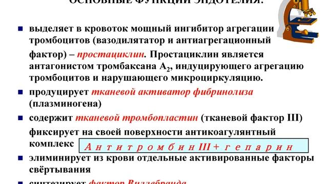 2014 г. Физиология и механизмы регуляции системы гемостаза. Точёнов А.В. 2 Часть.