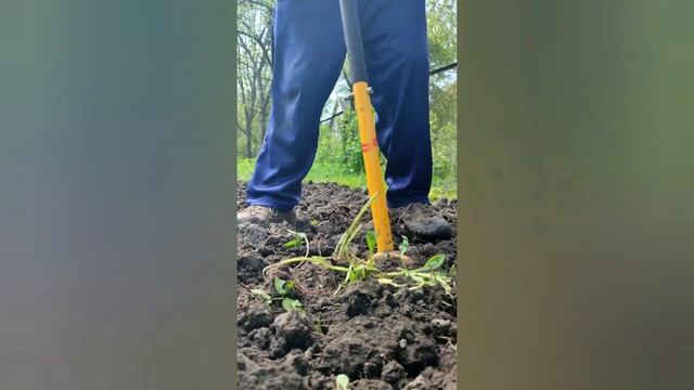 10 хвилин і город перекопаний без лопати. Найкращі інструменти для дачі та саду.