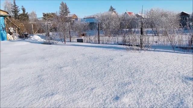 В гостях у мамы  // Пробуем мамины бутерброды  // Как всегда мы на дачу