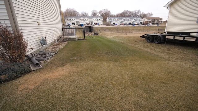 SNOW MOLD and MOLE DAMAGE Lawn Update