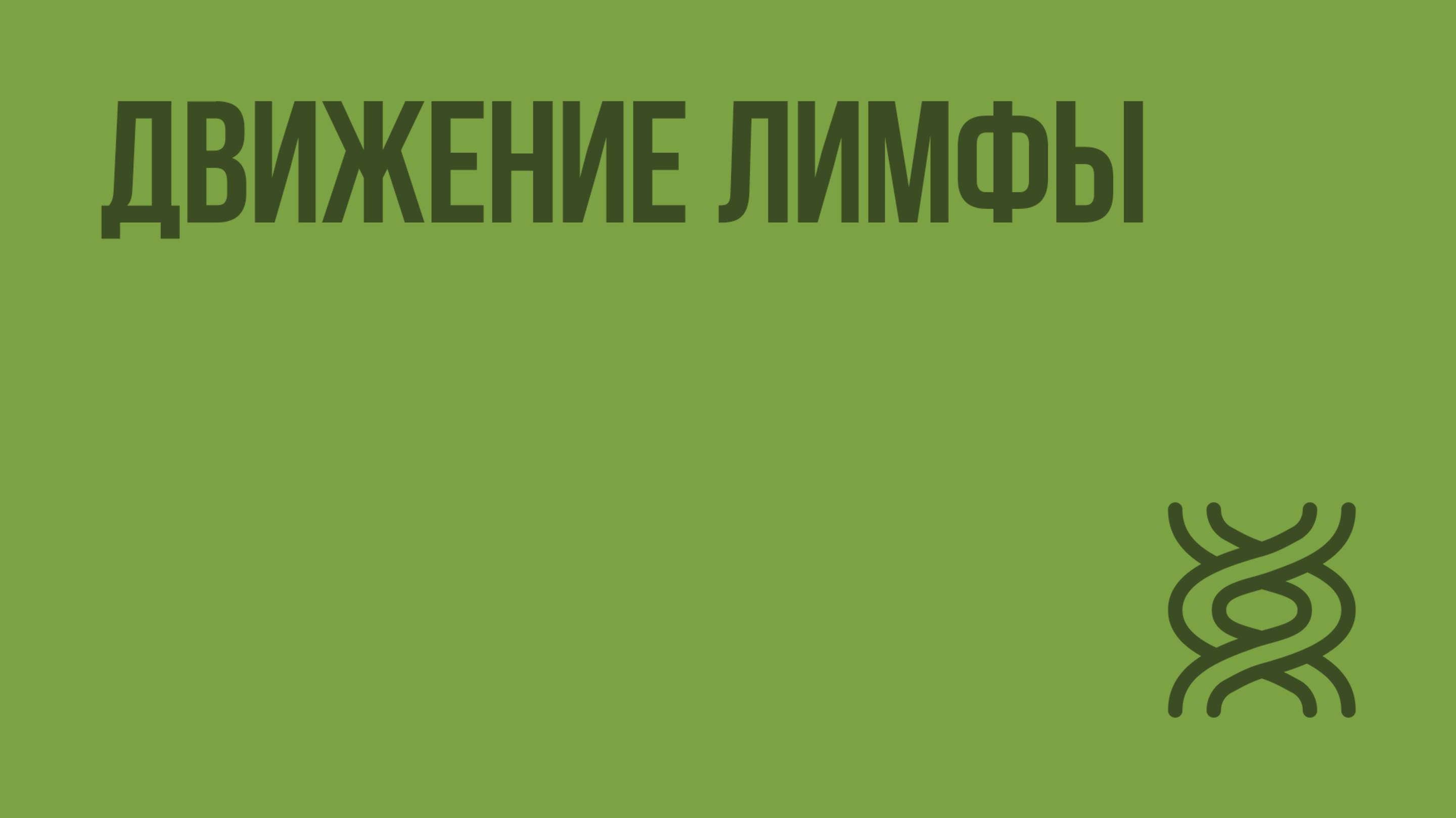 Движение лимфы. Видеоурок по биологии 8 класс