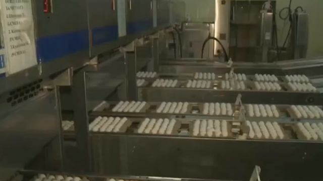 5 конкретных шагов Ассоциации предпринимателей