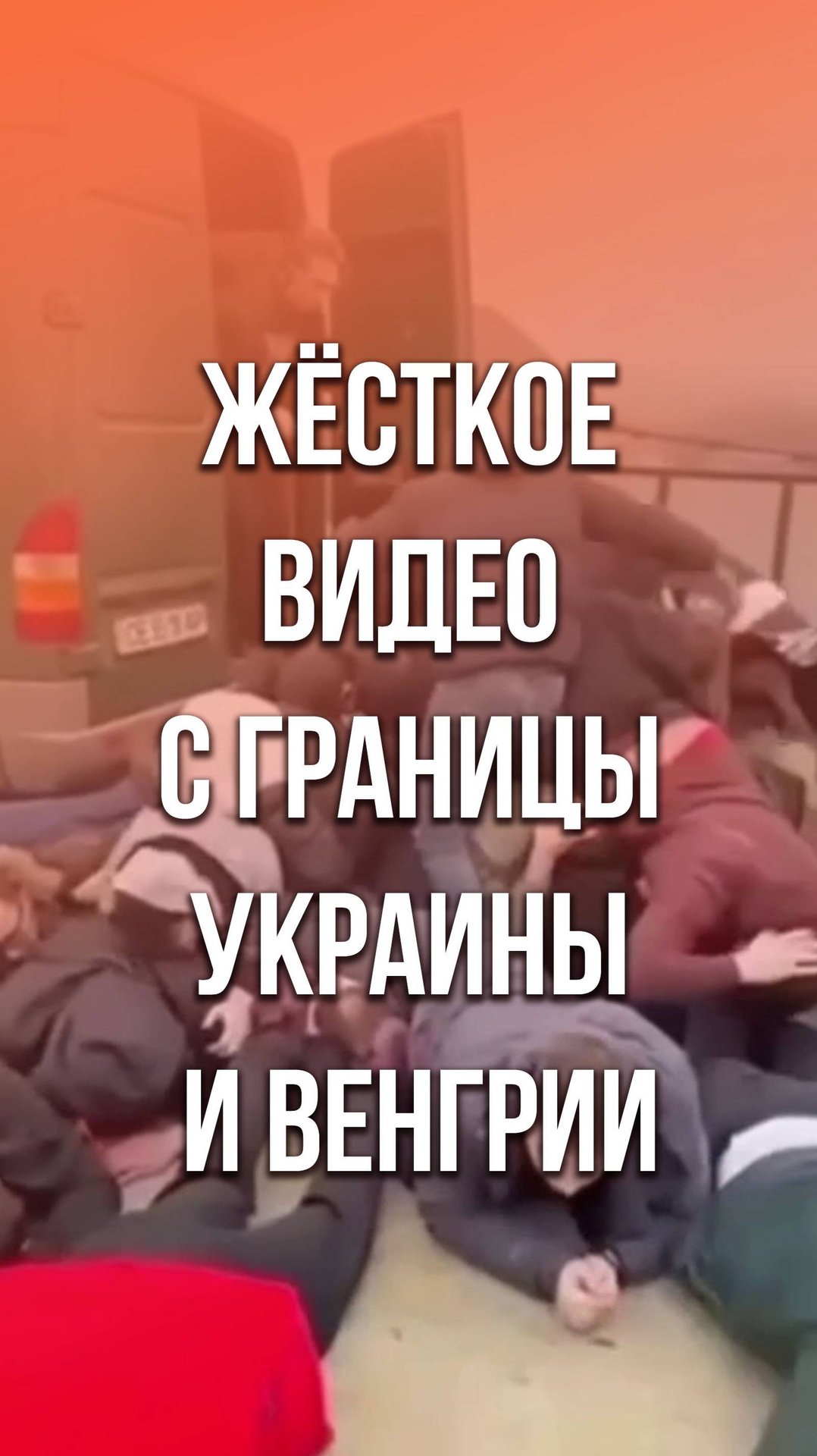 На границе с Венгрией поймали целый грузовик мужчин, сбегающих с Украины. Финал – на видео