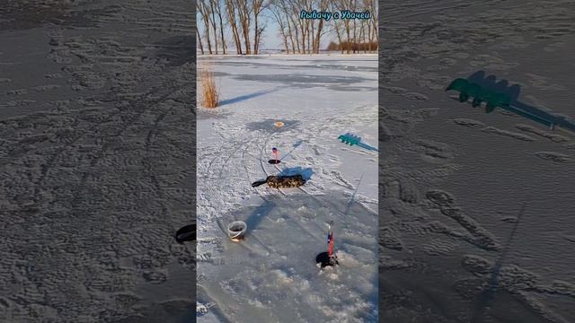 Побывали на рыбалочке и узнали где раки 🦀🦀🦀 зимуют ❄️🎣⛄