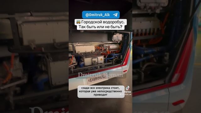 🚌 Городской водоробус. Так быть или не быть?