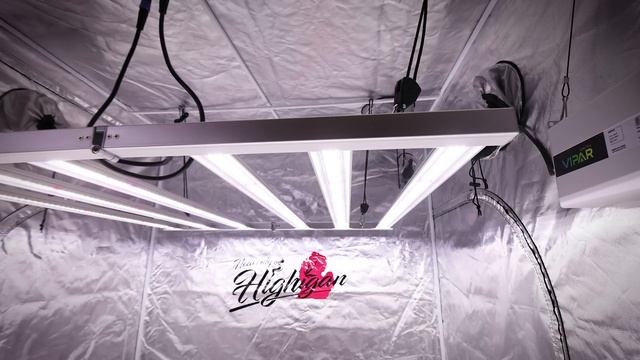 Viparspectra KS5000! New KS Series Bar Lights! New For 2022!