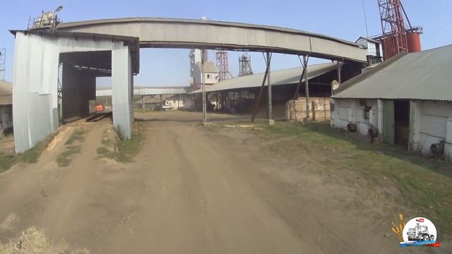 Уборка 2017! Отвозим горох на хранение на местный элеватор! Очередь из Камазов и Мазов!