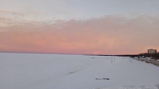 VID_20230123_093134