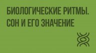 Биологические ритмы. Сон и его значение. Видеоурок по биологии 8 класс