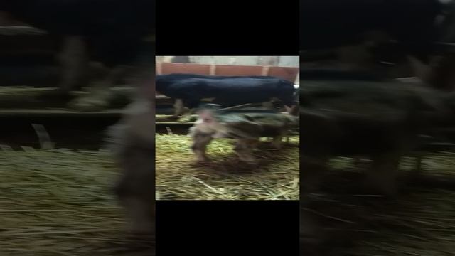 1000049931.mp4