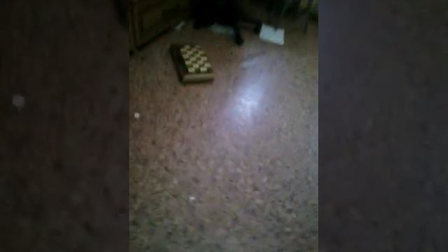 17 декабря 2016 г.