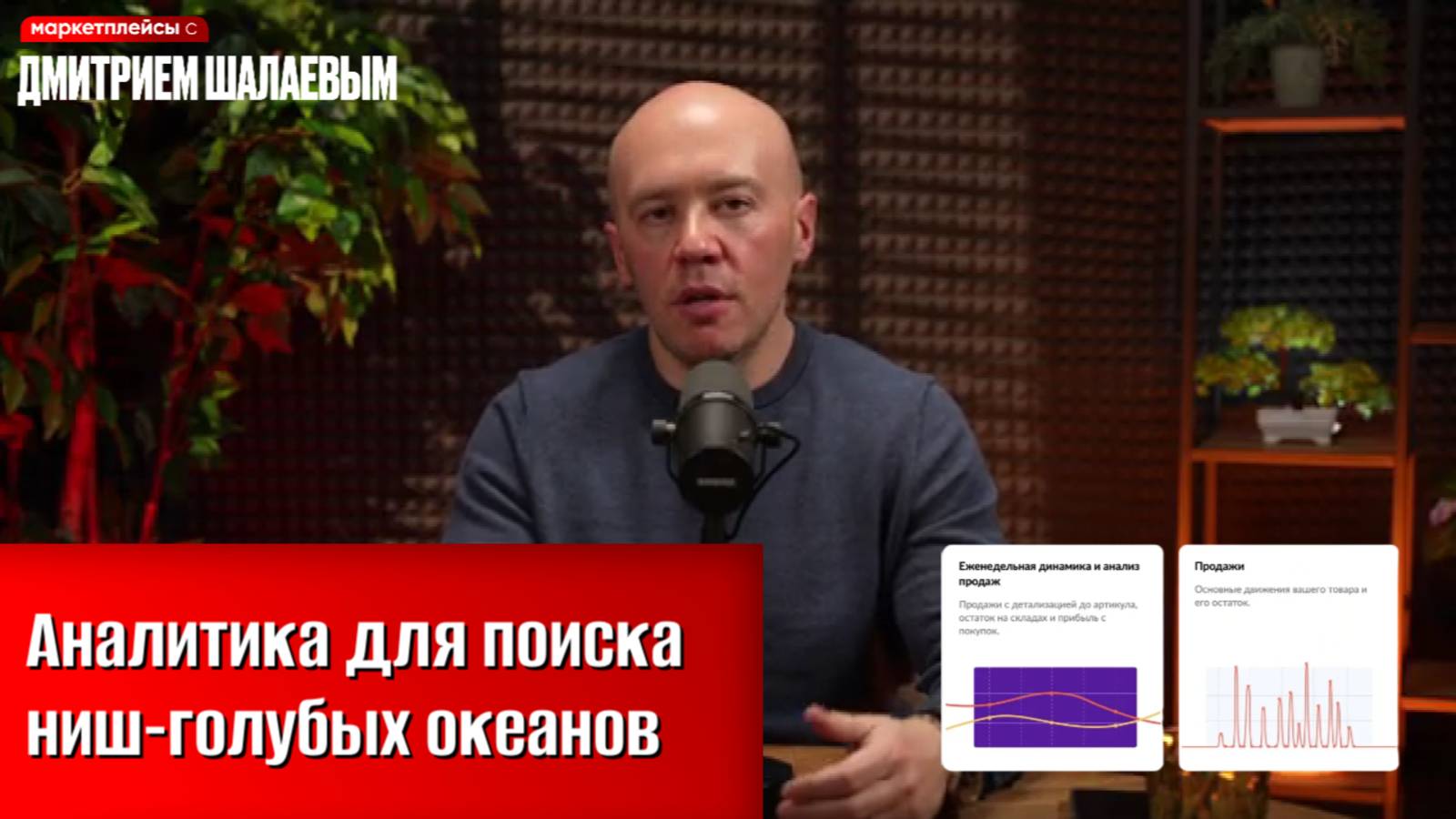 Как статистика помогает найти скрытые ниши-голубые океаны на Озоне, Вайлдбериз в 2025 году