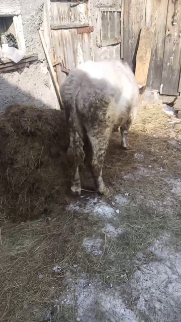 проблемы с ногами