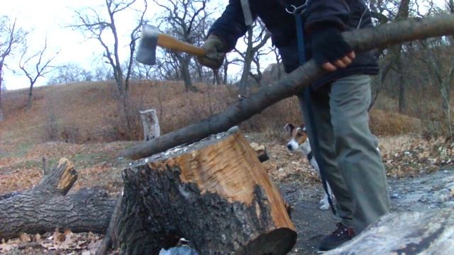 Вышли выгулять швейцарский топор и погреться у костра