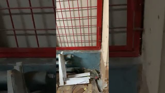 обзор внутри Шумиха Ленина