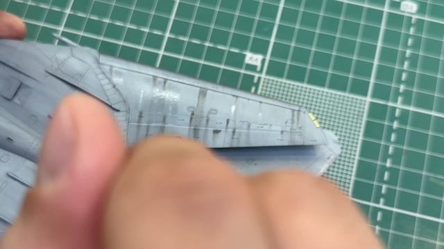 Making of #6: F-14D (G.W.H.)