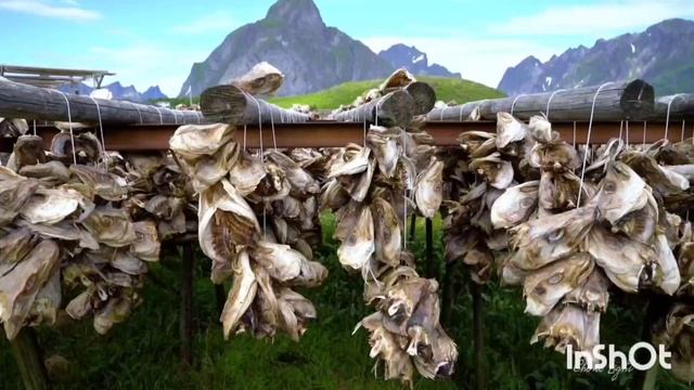 САМВЕЛ АДАМЯН,
АНЖЕЛИКА СНЕЖИНСКАЯ, 
ПОРТУГАЛО-ИСПАНСКАЯ ПАТРИОТКА....