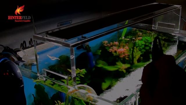HinterfeldHK Chihiros Aquasky Planted Aquarium High Output LED White Lamp Light