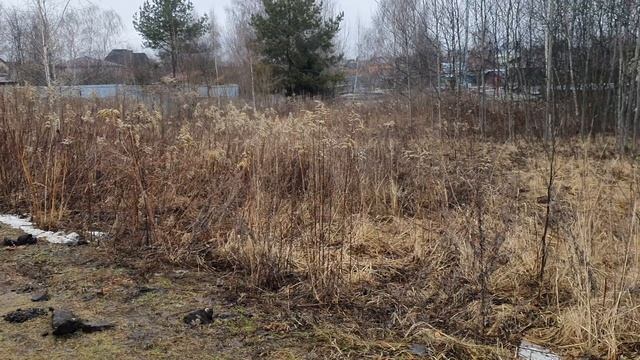 З/у с к. н. 50:28:0010603:507, расположенный по адресу: МО, г. о. Домодедово, мкр. Западный