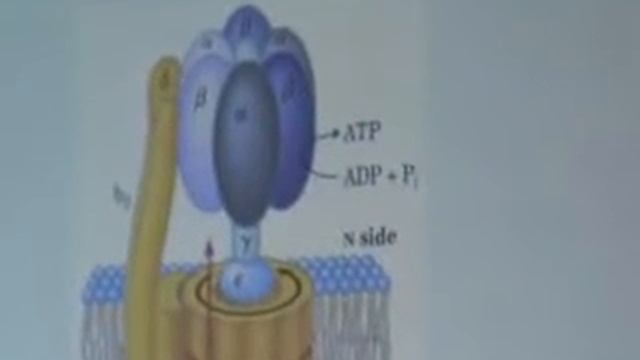 bioquímica 20-08