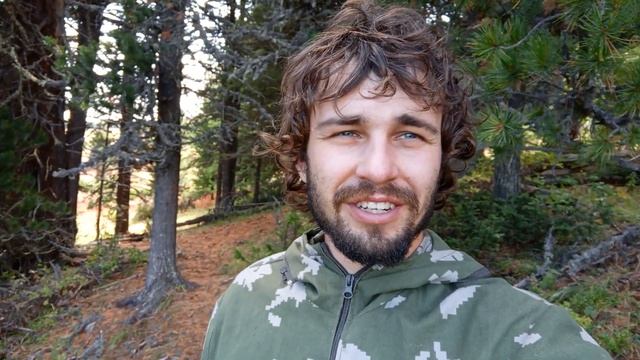 Тайга. Лес 🏞 . Красота. Сбор урожая. Ташкент. Кедр