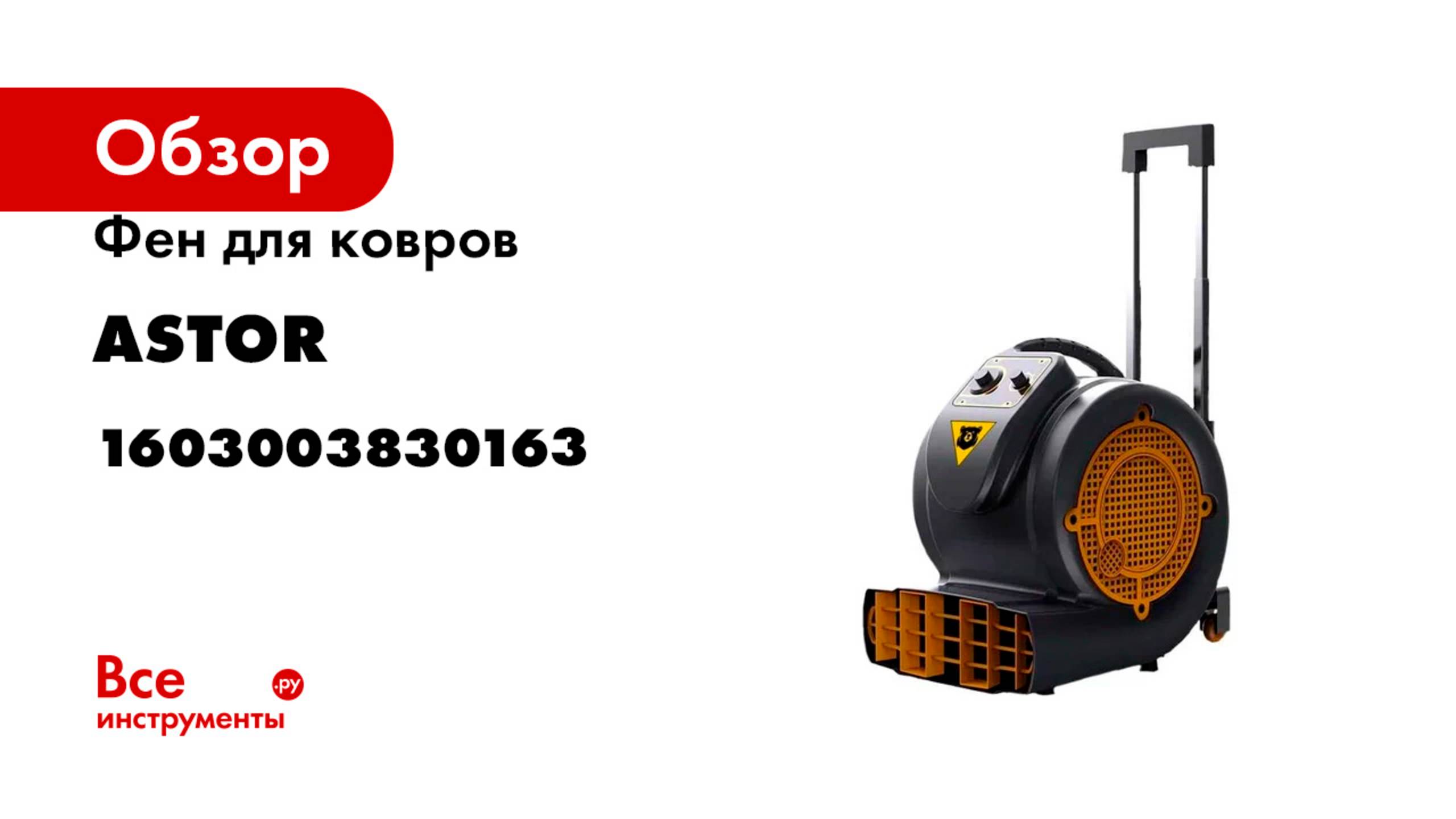 Фен для ковров ASTOR FA650 1603003830163