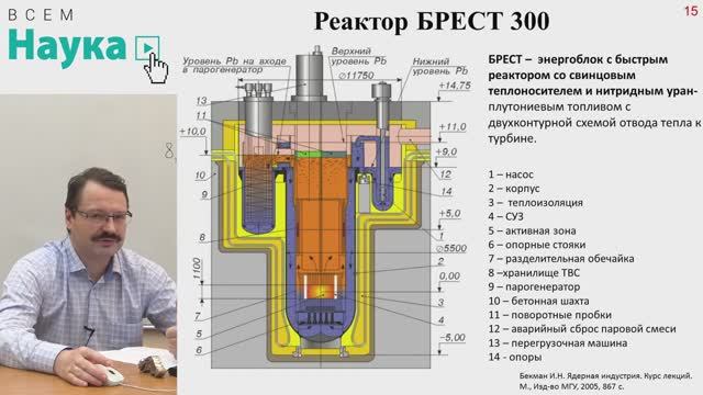Профессор Горюнов А.Г. - Замыкание ядерного топливного цикла в двухкомпонентной ядерной энергетике