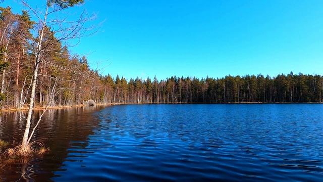 Уютная атмосфера весеннего озера. Тихая рябь на воде и шум ветра. Умиротворение.