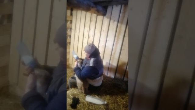 Переночевали.