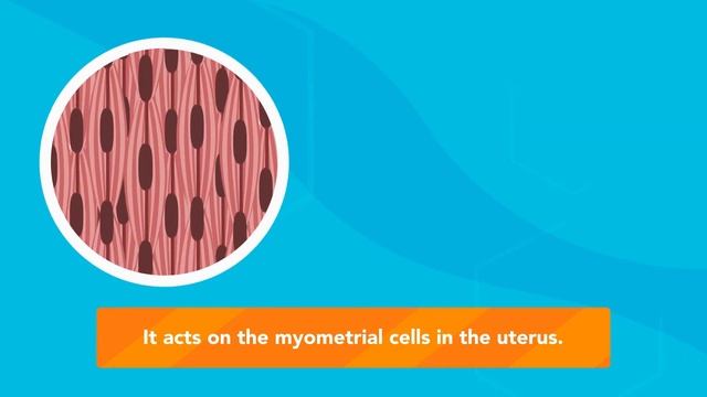 How does MISORPOSTOL work?