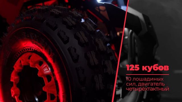 Квадроцикл Avantis Classic 8 new