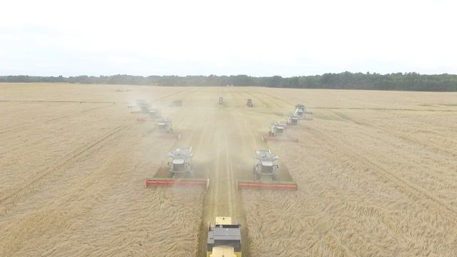 Harvesting of grain RBPI Group 2