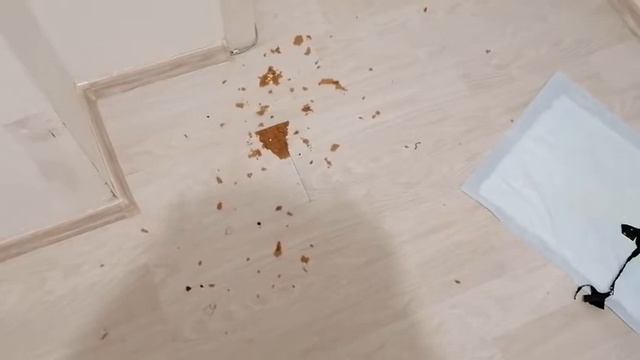 ОЙ МАМА КТО ЭТО