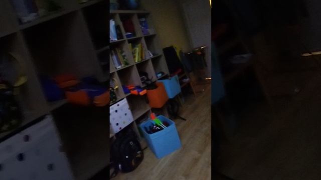 дорс 6