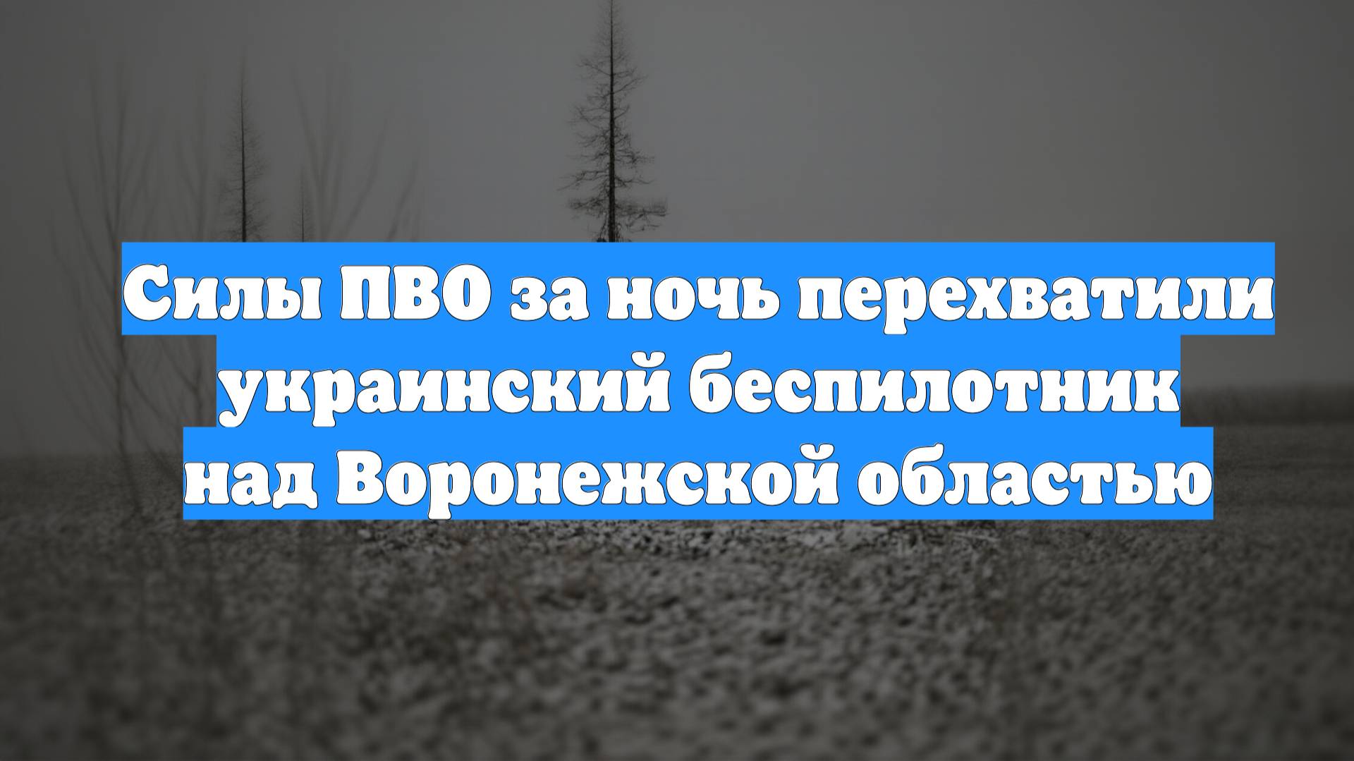 Силы ПВО за ночь перехватили украинский беспилотник над Воронежской областью