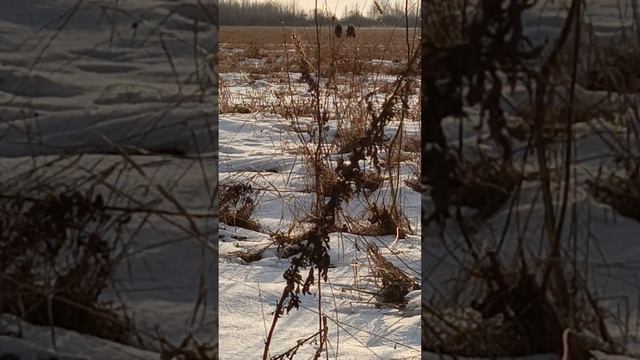 1000010608.mp4