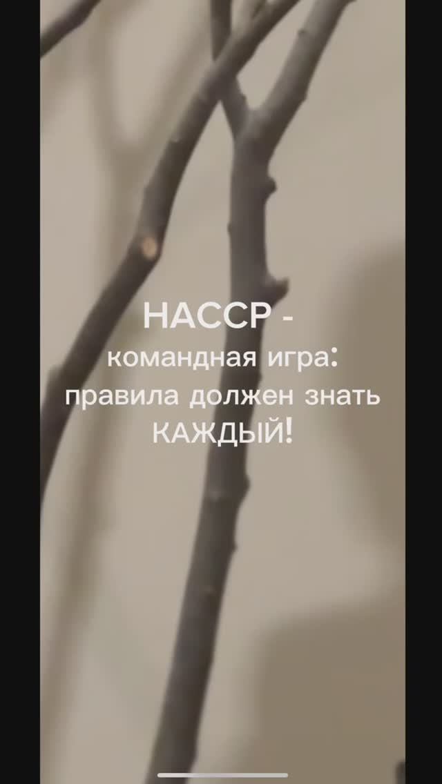Сериал "Мифы Кухни ХАССП". Серия 4 "HACCP – командная игра: правила должен знать каждый!"