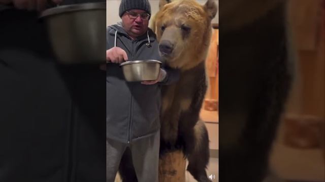 Хороший мальчик!