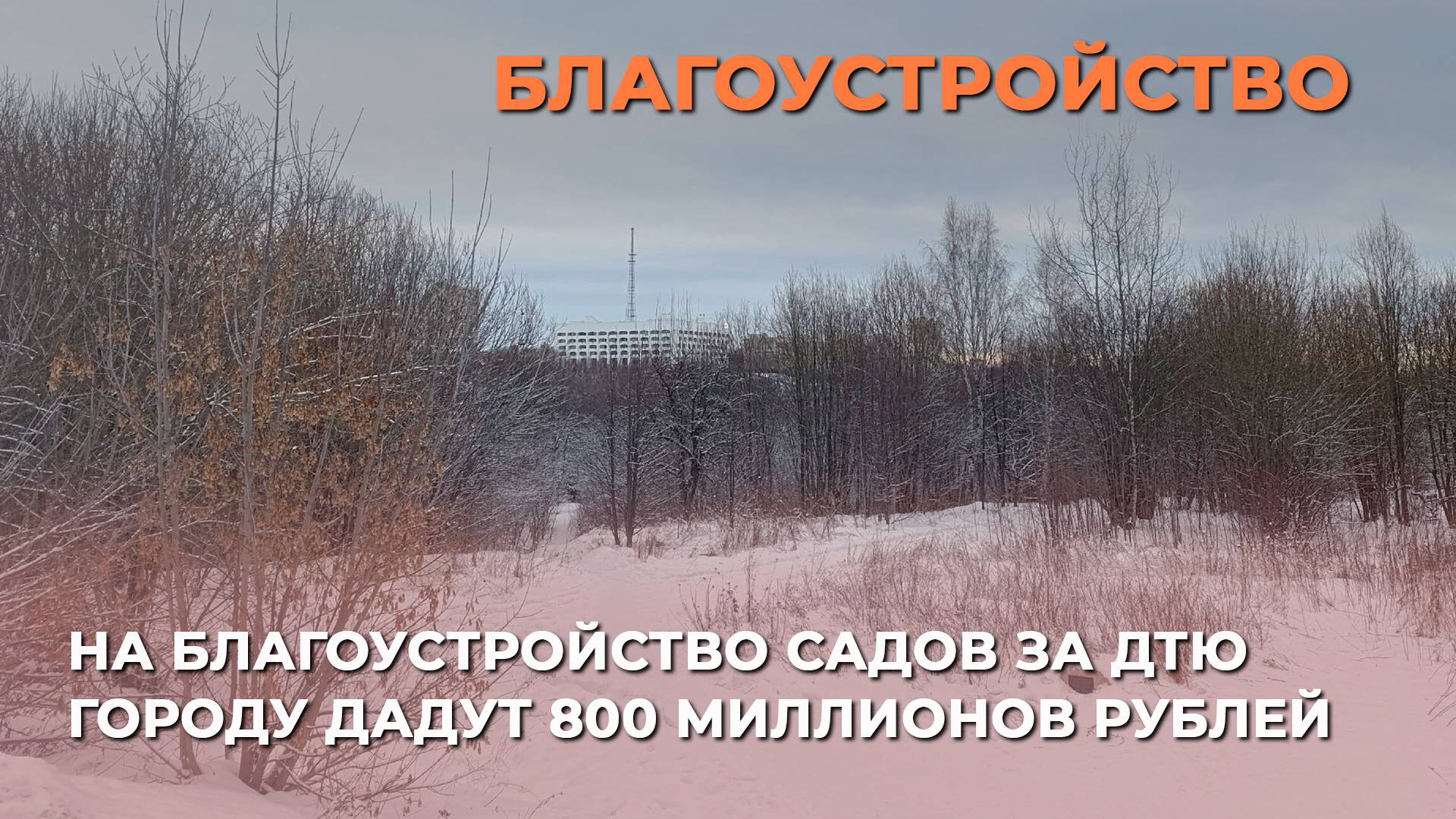 На благоустройство садов за ДТЮ городу дадут 800 миллионов рублей