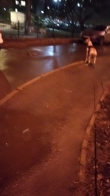 1000114959.mp4