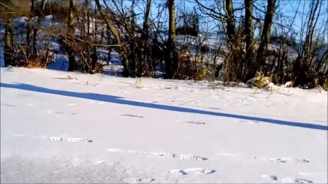 После пар на речку  Серия 3  07 12 16