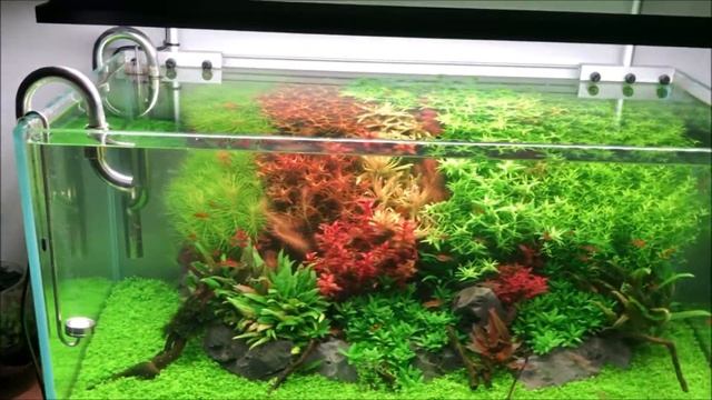 Aquascaping 180L éclairage wrgb II
