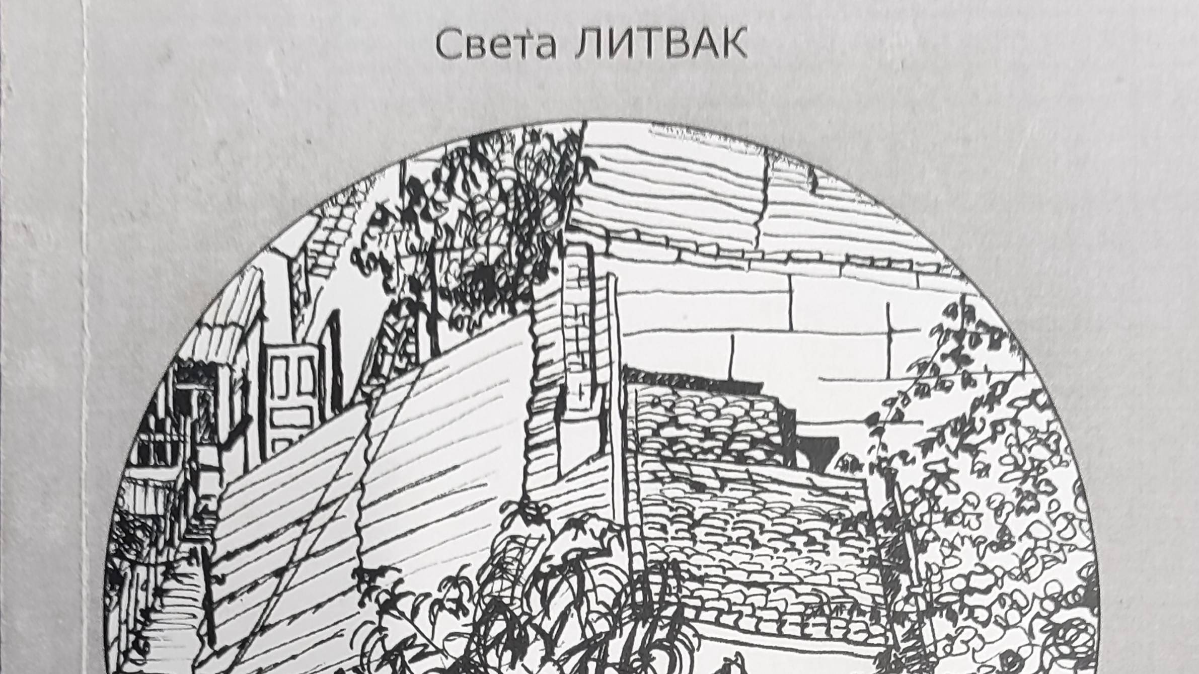 КНИГА 298 Света Литвак Вновь полон сад (М.: ИД «Вручную», 2017)