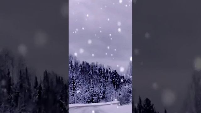 ВИА "Виктория Три" - Старые зимы