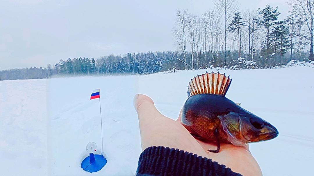 РАЗВЕДУЕМ ЛЕСНОЕ ОЗЕРО. ЛОВИМ ЩУКУ, ОКУНЯ. РЫБАЛКА В НАЧАЛЕ МАРТА