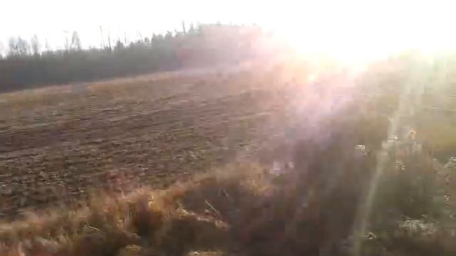 Свиная жижа вокруг д.Ольсевичи