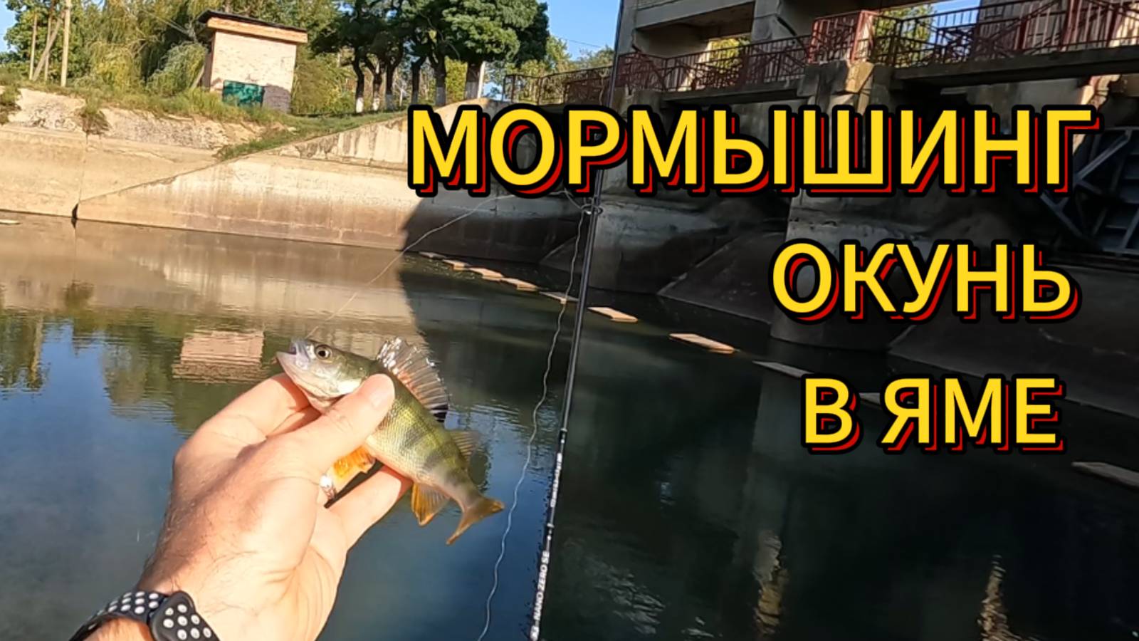 Мормышинг окунь в яме.